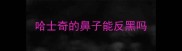 哈士奇的鼻子能反黑吗