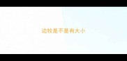边牧是不是有大小