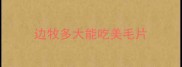 边牧多大能吃美毛片