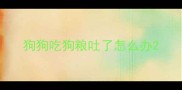 狗狗吃狗粮吐了怎么办