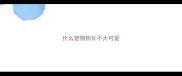 什么宠物狗长不大可爱