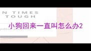 小狗回来一直叫怎么办