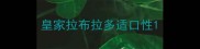 皇家拉布拉多适口性