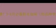 幼犬剃毛黄金期3-8月必看剃毛指南附品种季节护理全攻略