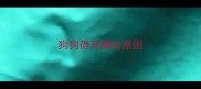 狗狗得耳螨的原因