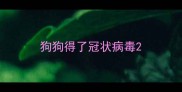 狗狗得了冠状病毒