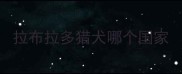 拉布拉多猎犬哪个国家
