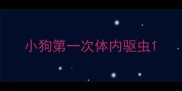 小狗第一次体内驱虫