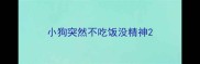 小狗突然不吃饭没精神