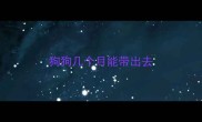 狗狗几个月能带出去