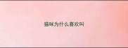 猫咪为什么喜欢叫