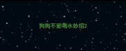 狗狗不爱喝水妙招