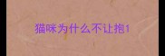 猫咪为什么不让抱