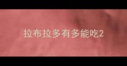 拉布拉多有多能吃