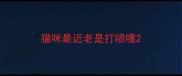 猫咪最近老是打喷嚏