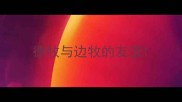 德牧与边牧的友谊