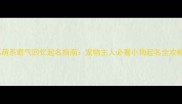 高萌系霸气回忆起名指南宠物主人必看小狗起名全攻略