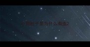 小狗肚子里为什么有虫
