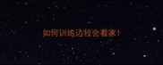 如何训练边牧会看家