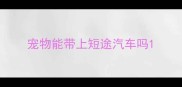 宠物能带上短途汽车吗