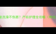 母犬哺乳期多久能洗澡不伤崽产后护理全攻略附洗澡步骤与禁忌