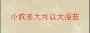 小狗多大可以大疫苗