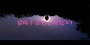猫咪不合它心意就叫