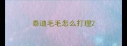 泰迪毛毛怎么打理