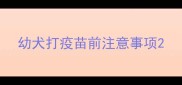 幼犬打疫苗前注意事项