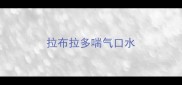 拉布拉多喘气口水