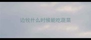 边牧什么时候能吃蔬菜