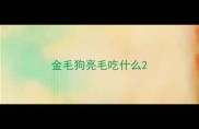 金毛狗亮毛吃什么