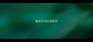 猫咪补钙吃啥最快