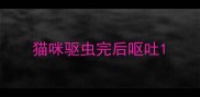 猫咪驱虫完后呕吐