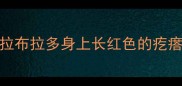 拉布拉多身上长红色的疙瘩