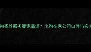 北京宠物寄养服务哪家靠谱小狗在家公司口碑与实力深度