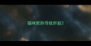 猫咪肥胖导致肝脏