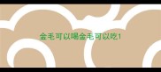 金毛可以喝金毛可以吃