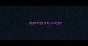 小的拉布拉多怎么挑选