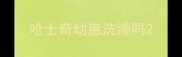 哈士奇幼崽洗澡吗