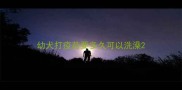 幼犬打疫苗要多久可以洗澡