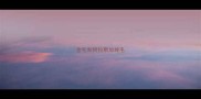 金毛和阿拉斯加掉毛