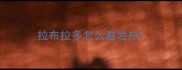 拉布拉多怎么看发热