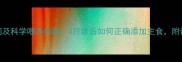 幼犬喂米饭最佳时间及科学喂养指南3月龄后如何正确添加主食附详细食谱与注意事项