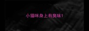 小猫咪身上有臭味