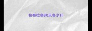 拉布拉多80天多少斤
