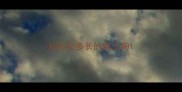 拉布拉多长的像土狗
