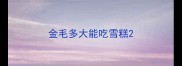 金毛多大能吃雪糕