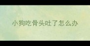 小狗吃骨头吐了怎么办