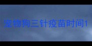 宠物狗三针疫苗时间